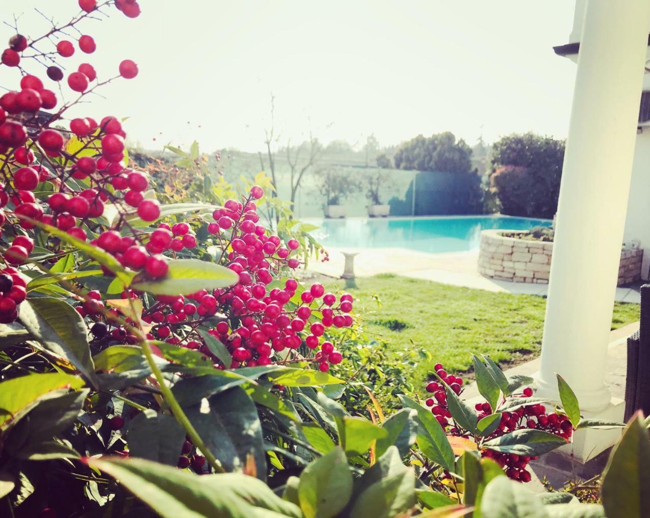 Maison Fortune Castelnuovo del Garda Εξωτερικό φωτογραφία